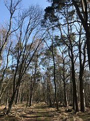 020_iP_220421_IMG_5166