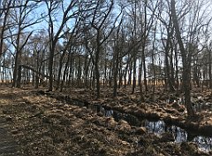 030_iP_220421_IMG_5172