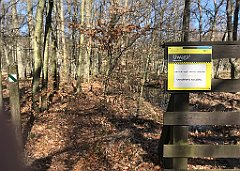 036_iP_220421_IMG_5174