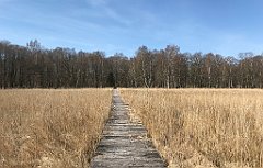 081_iP_220421_IMG_5187