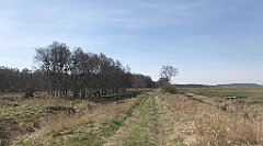 115_iP_220421_IMG_5194