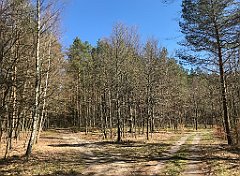 294_iP_220421_IMG_5254