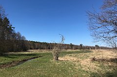 300_iP_220421_IMG_5257