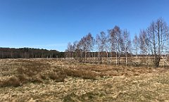 321_iP_220421_IMG_5262