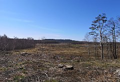 338_p20_IMG_20220421_144645