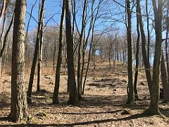 341_iP_220421_IMG_5269