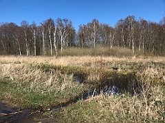 416_iP_220421_IMG_5298