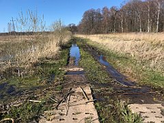 418_iP_220421_IMG_5300