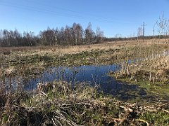 419_iP_220421_IMG_5301