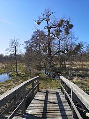 434_p20_IMG_20220421_162445