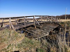 438_p20_IMG_20220421_162515