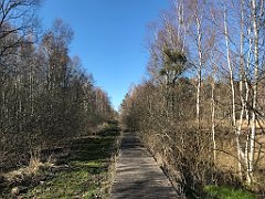 444_iP_220421_IMG_5306