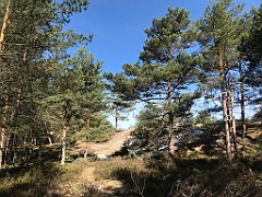 101_iP_220510_IMG_5546