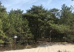 165_iP_220510_IMG_5547