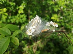 349_p20_IMG_20220517_160440