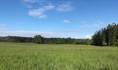 021_iP_220531_IMG_5577