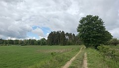 149_iP_220531_IMG_5623