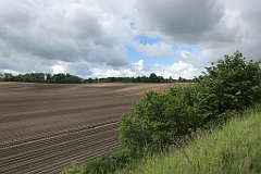 153_iP_220531_IMG_5628