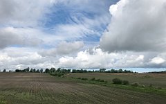 161_iP_220531_IMG_5640