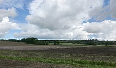 170_iP_220531_IMG_5644