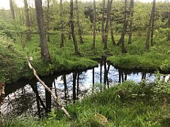 180_iP_220531_IMG_5654