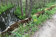 183_iP_220531_IMG_5659