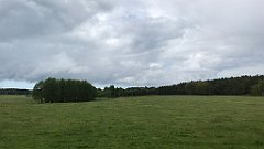 208_iP_220531_IMG_5677