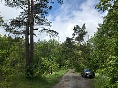 226_iP_220531_IMG_5704