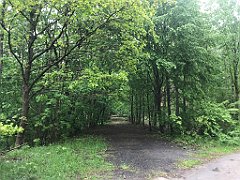 232_iP_220531_IMG_5708