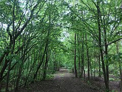 233_iP_220531_IMG_5710