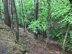 238_iP_220531_IMG_5715