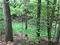 240_iP_220531_IMG_5718