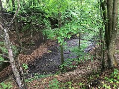 249_iP_220531_IMG_5729