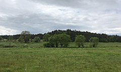 268_iP_220531_IMG_5752