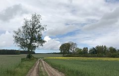 290_iP_220531_IMG_5778