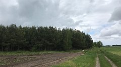 302_iP_220531_IMG_5784