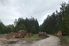 324_iP_220531_IMG_5806