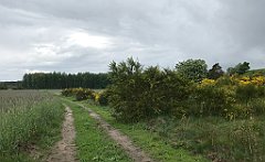 349_iP_220531_IMG_5831