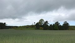 355_iP_220531_IMG_5834