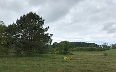 362_iP_220531_IMG_5842