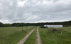 370_iP_220531_IMG_5848