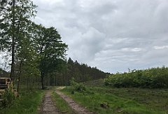 377_iP_220531_IMG_5852