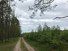 380_iP_220531_IMG_5855