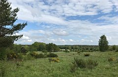 398_iP_220531_IMG_5869