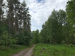 399_iP_220531_IMG_5870