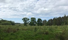 400_iP_220531_IMG_5871