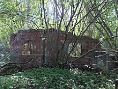 419_iP_220531_IMG_5884