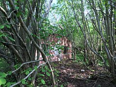 421_iP_220531_IMG_5888