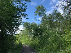 425_iP_220531_IMG_5893