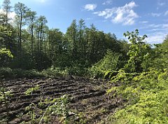 429_iP_220531_IMG_5897